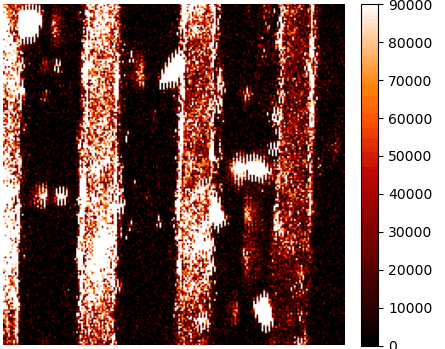 Microscope Auto-focus System using Image Processing